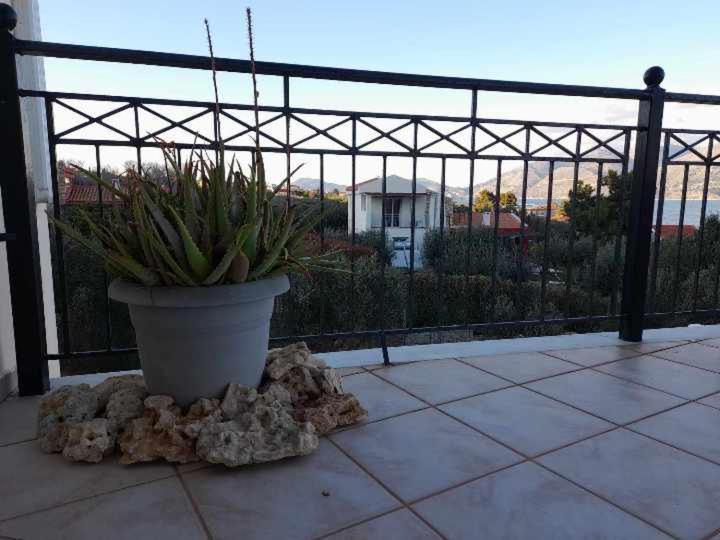 Elia Studios Lixouri Esterno foto